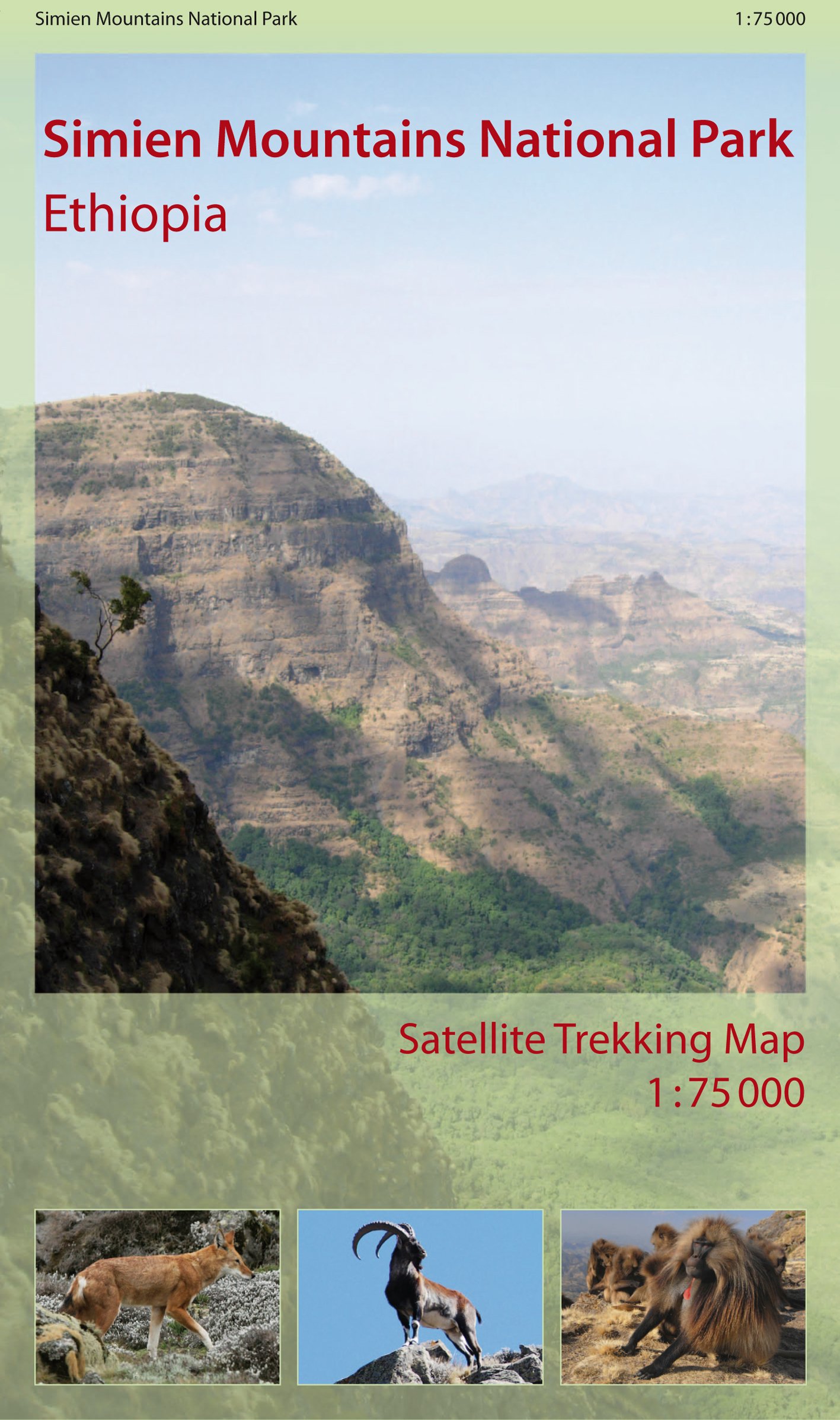 Cover: Entwicklung einer touristischen Satellitenbildkarte des Semien Mountains Nationalpark - Äthiopien