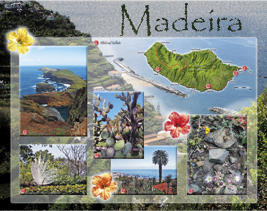 02Feb12_Madeira