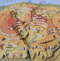 Luise Leffmann - Kommunikation mit kartographischen 3D-Medien