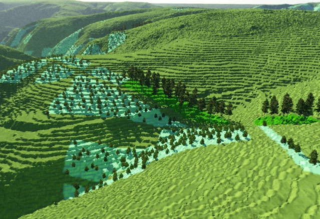 3D Gelände: Transformation und Überarbeitung des virtuellen Nationalparks Eifel